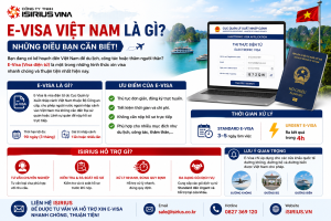 E-visa