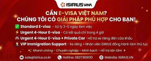E-visa