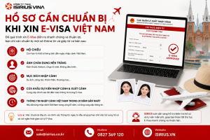 E-visa